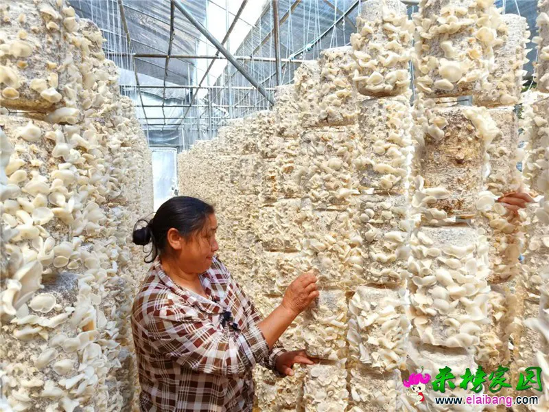 微信图片_20190528104616.webp