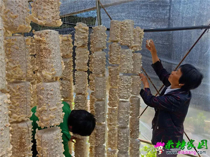 微信图片_20190528110948.webp