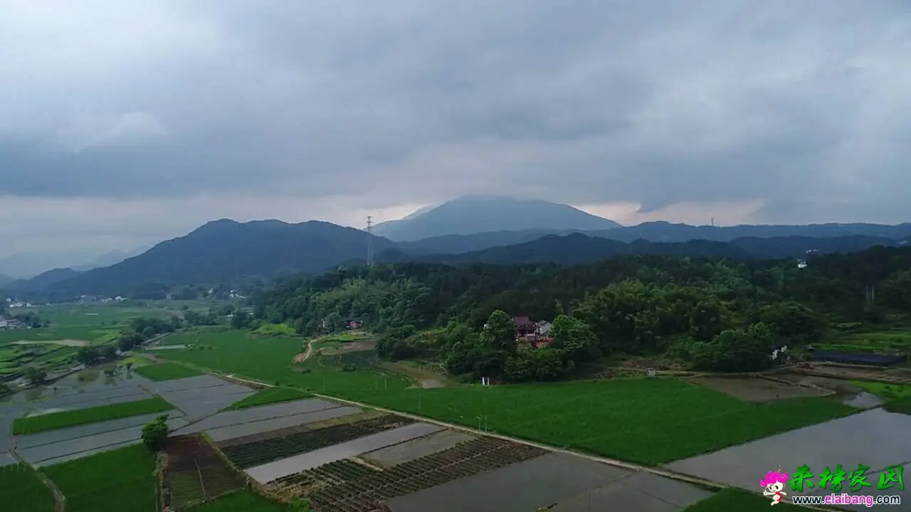 微信图片_20190530192443.webp