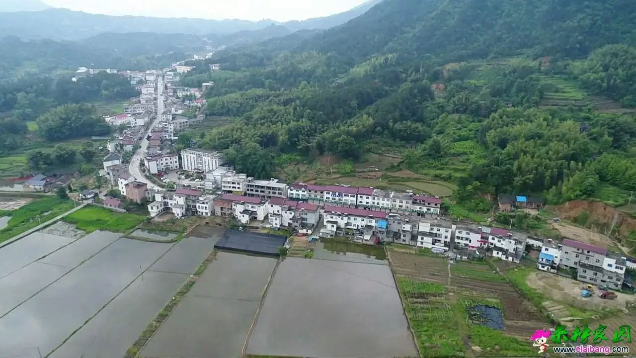 微信图片_20190530192549.webp