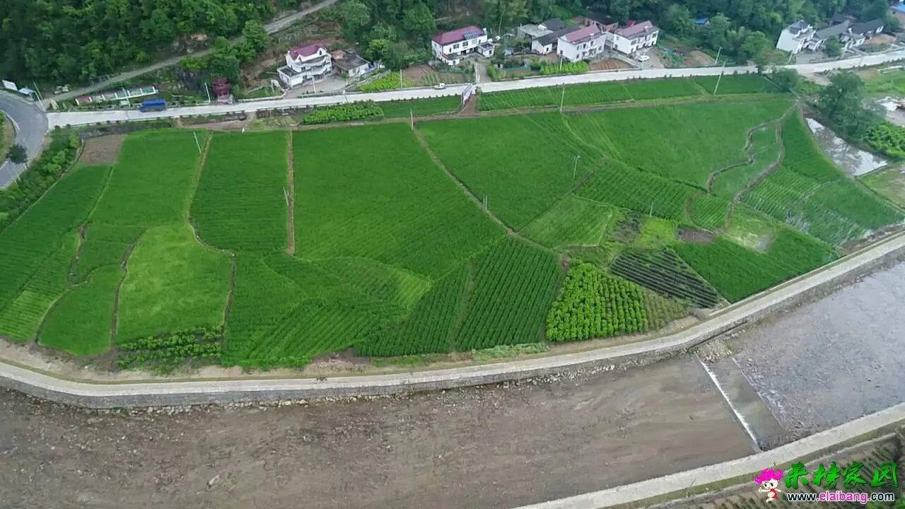微信图片_20190530192648.webp