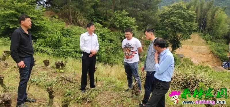 微信图片_20190531220741.webp
