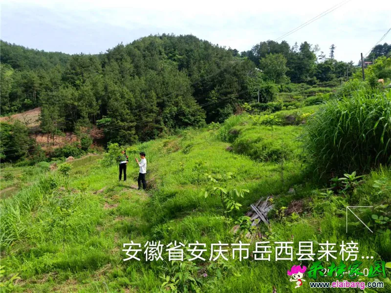 微信图片_20190601211141.webp