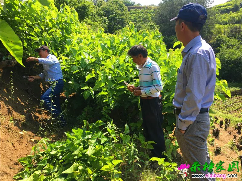微信图片_20190602171452.webp