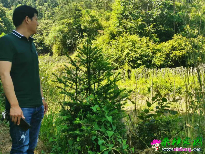 微信图片_20190603193354.webp