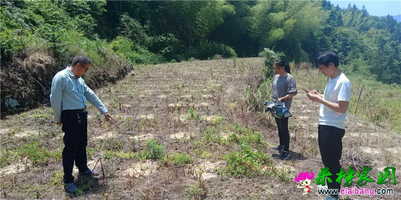 微信图片_20190603193402.webp