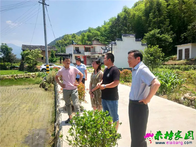 微信图片_20190603193412.webp