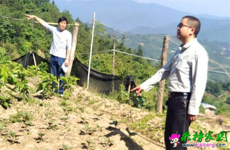 TIM截图20190604203502.webp