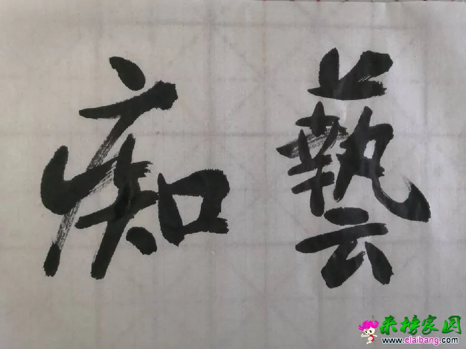 205052xhfyqdorr5qozzyu.webp
