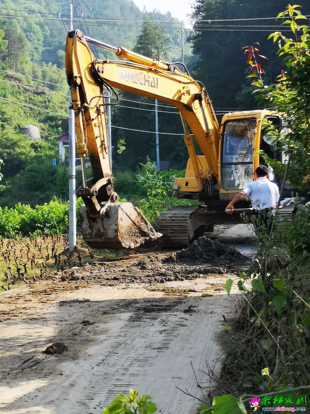 来榜家园_20190608_081039.webp
