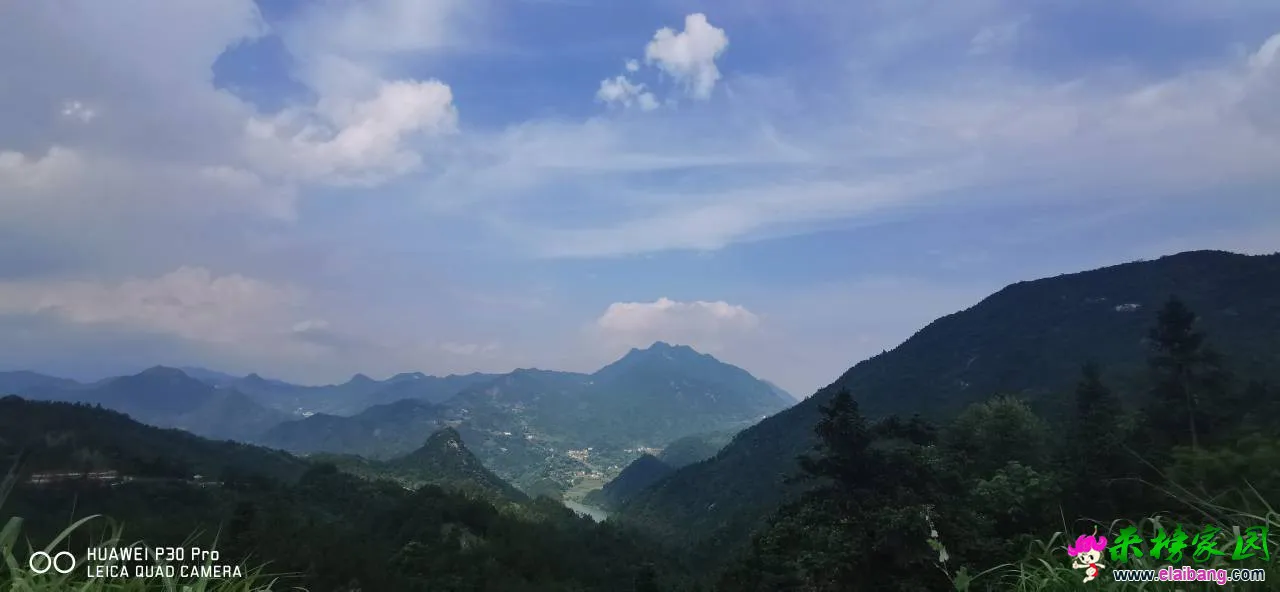 193618mm9kj49wk6mkfzj9.webp