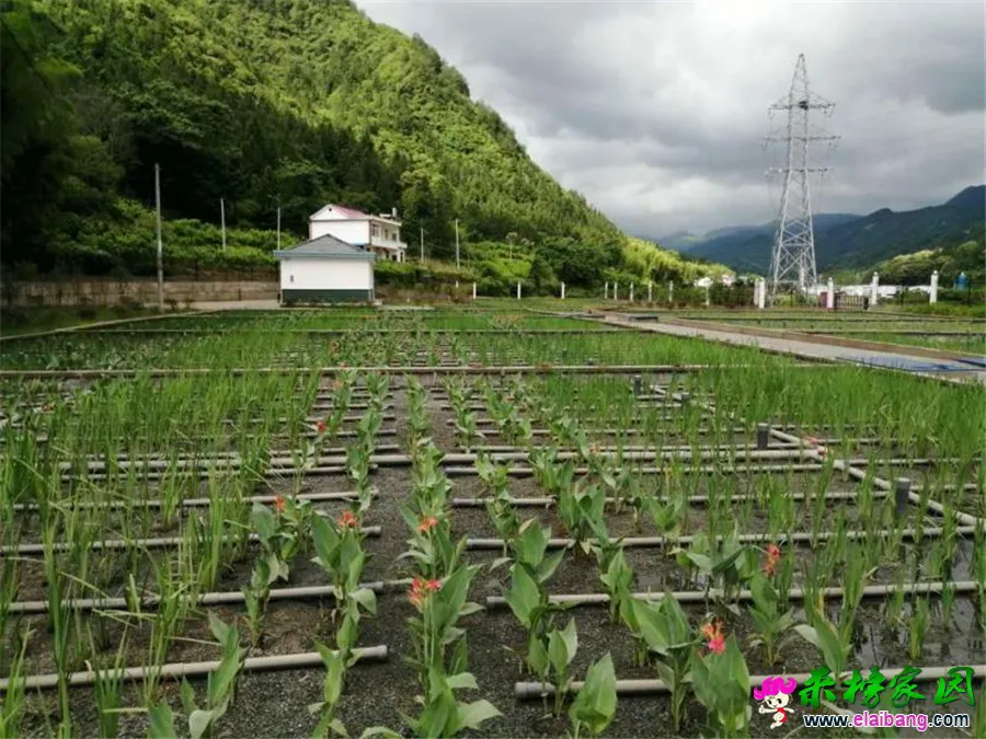 微信图片_20190610193710.webp