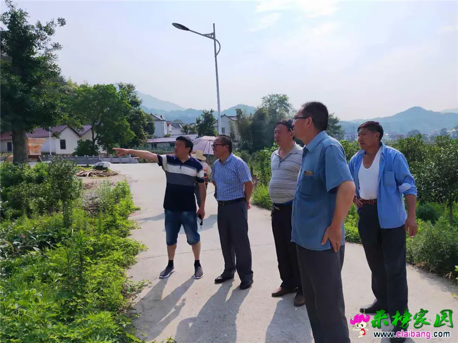 微信图片_20190610193714.webp