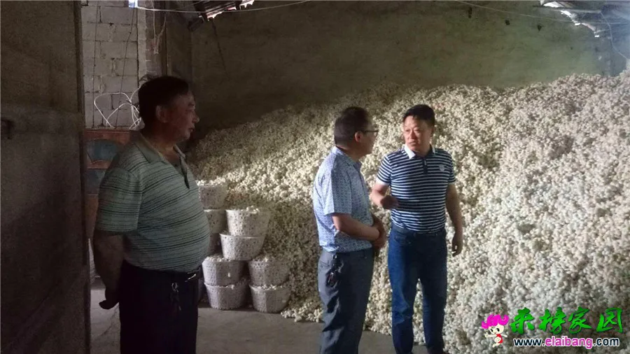 微信图片_20190610193720.webp