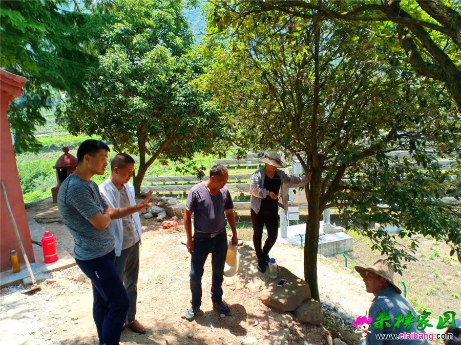 微信图片_20190610193730.webp