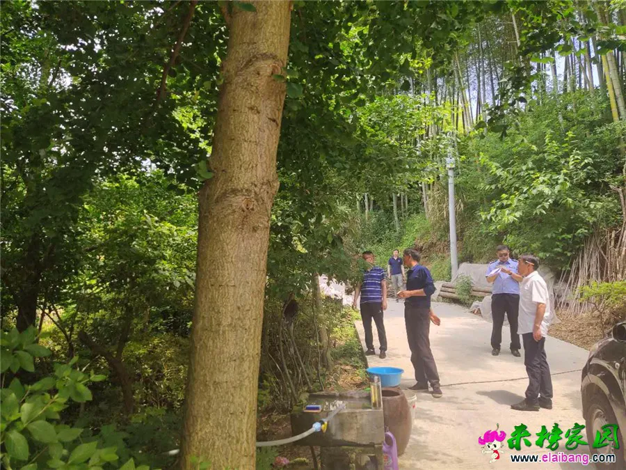 微信图片_20190610193733.webp