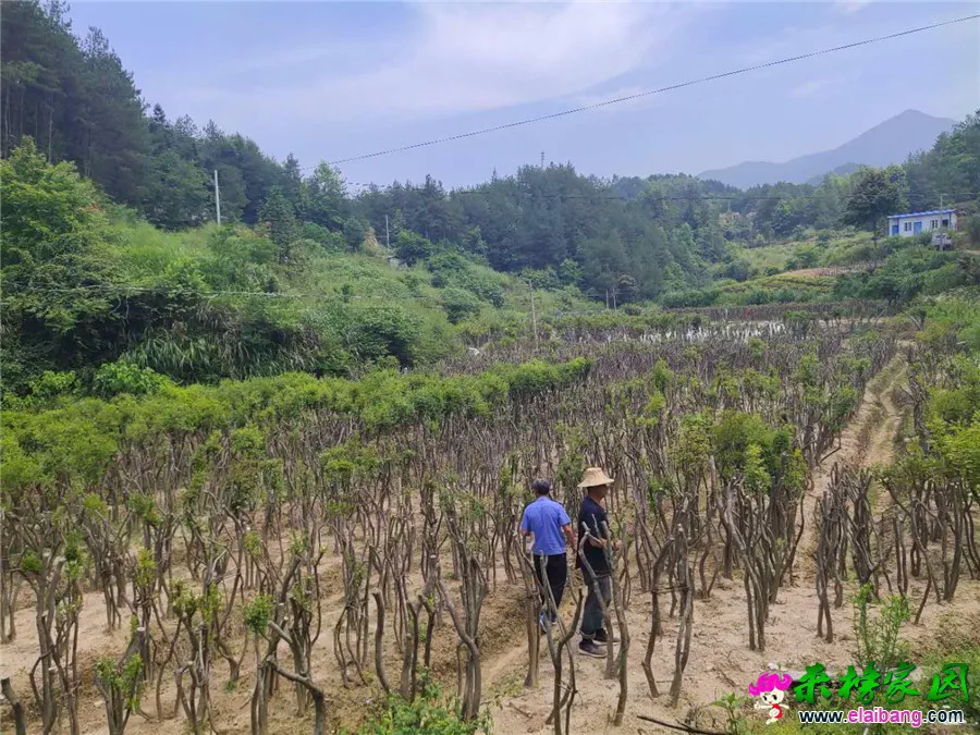 微信图片_20190610193735.webp