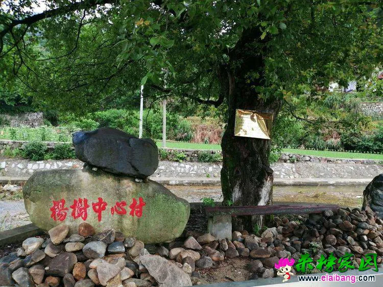 b356ed85615b120c1bf87d8c8231ebaf.webp
