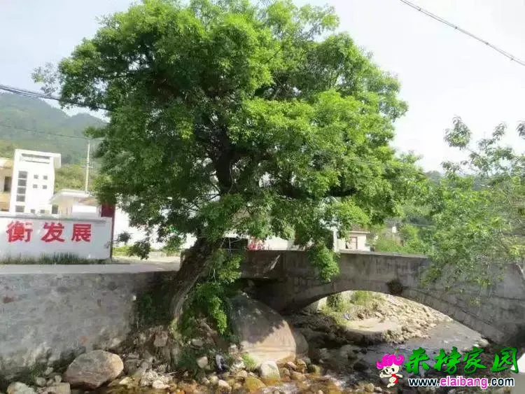 53e59eb96e29489c9b2567cf35a66f28.webp