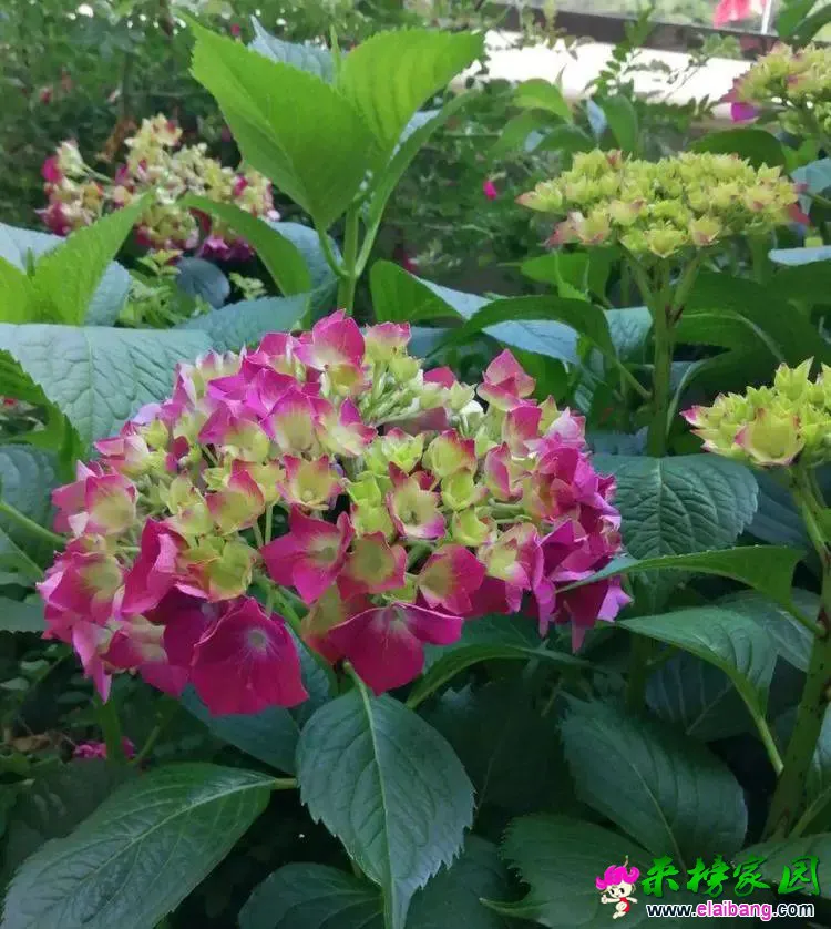 237caa02d6003c8999706c060b5942eb.webp