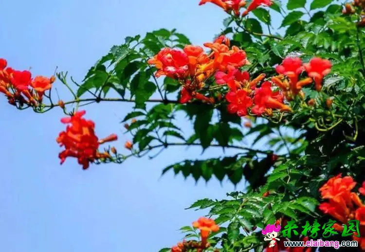 6cba6e3ef61024104db612cfbf6ad165.webp