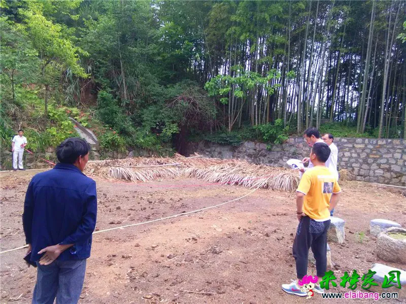 微信图片_20190613205954.webp