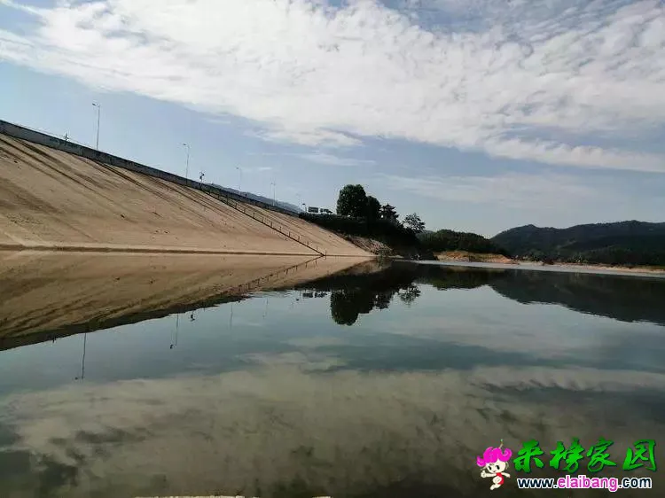 f8064a76e50a5b74f0188ae230e9ec0c.webp