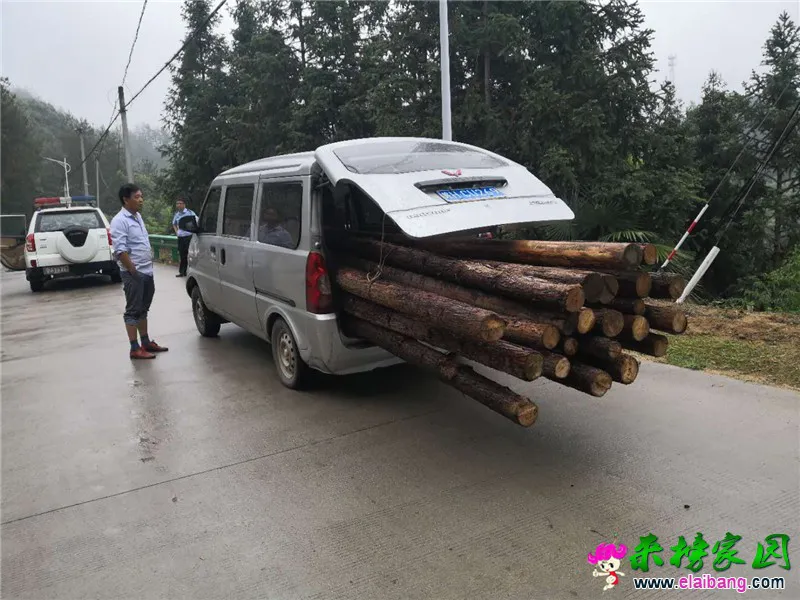 微信图片_20190617204549.webp