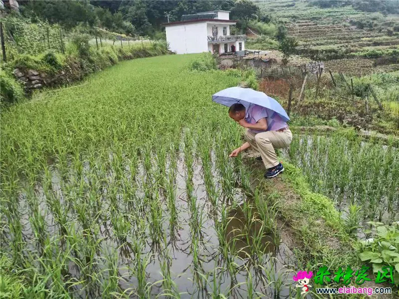 微信图片_20190617204543.webp