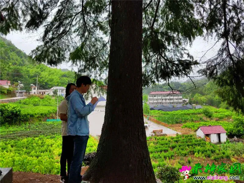微信图片_20190618213111.webp