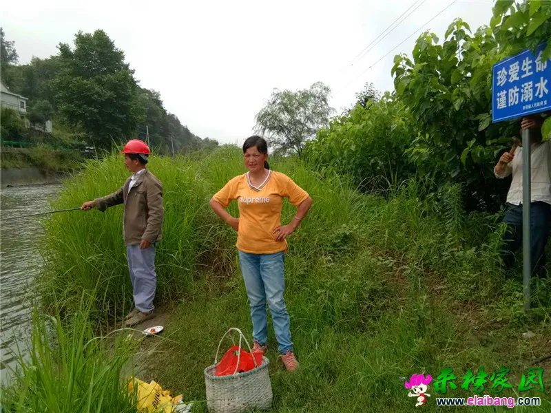微信图片_20190620191543.webp