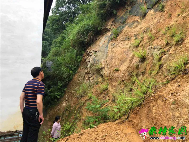 微信图片_20190620191638.webp