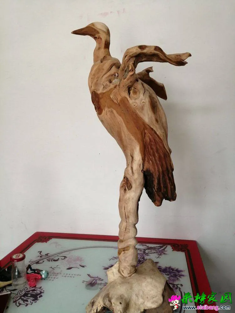 微信图片_20190621203049.webp