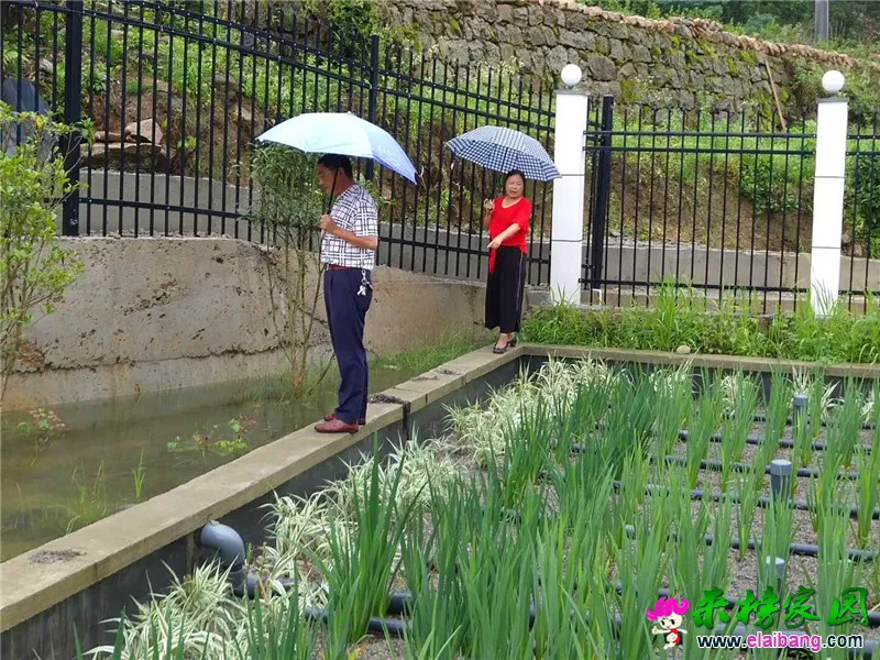 微信图片_20190621204150.webp