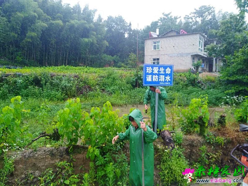 微信图片_20190621204202.webp