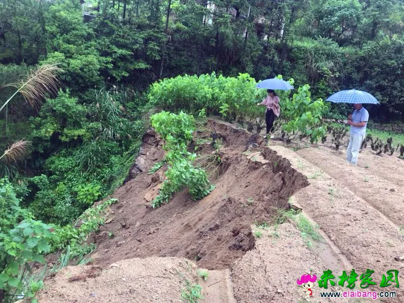 微信图片_20190621204154.webp