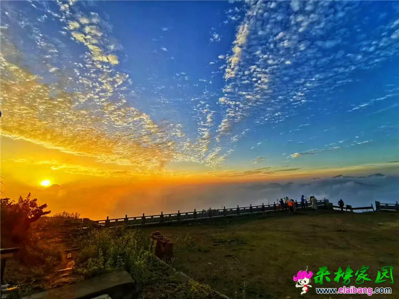 微信图片_20190623215506.webp