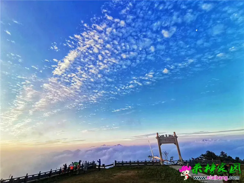 微信图片_20190623215519.webp