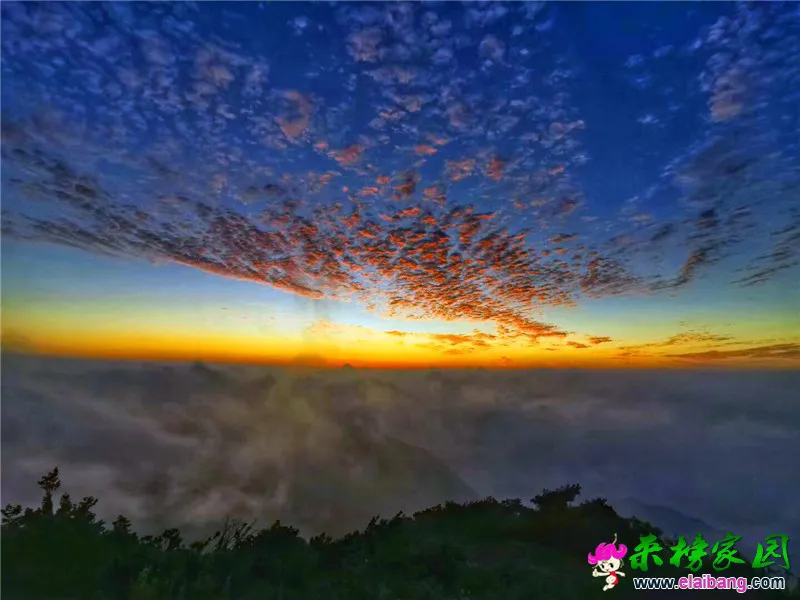 微信图片_20190623215514.webp