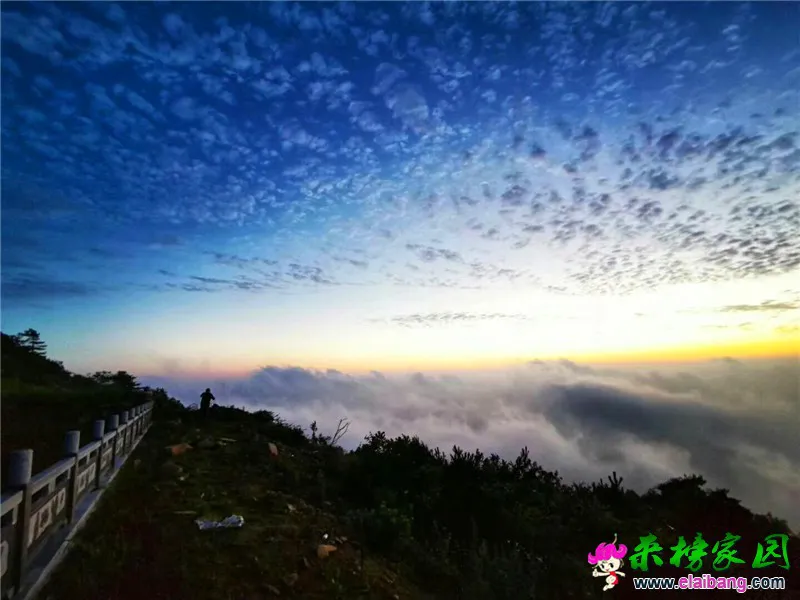 微信图片_20190623215511.webp