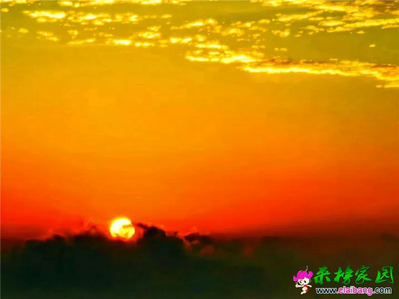 微信图片_20190623215529.webp
