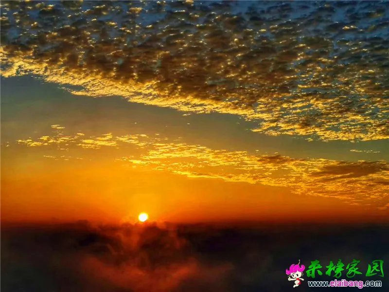 微信图片_20190623215531.webp