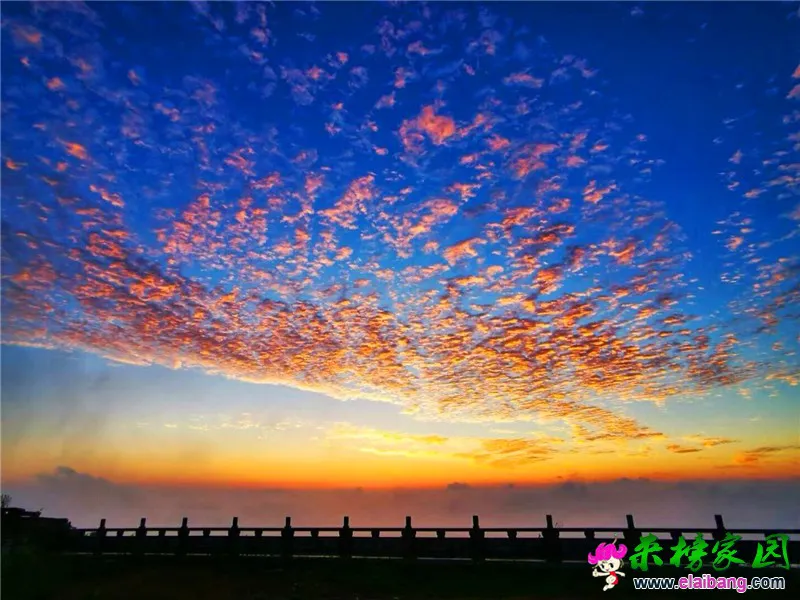 微信图片_20190623215521.webp