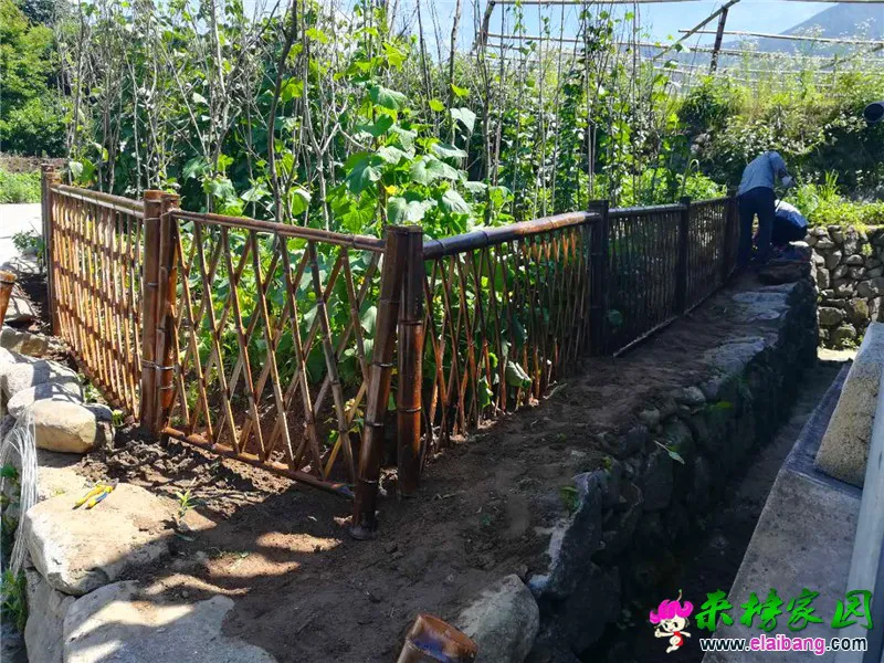 微信图片_20190624200809.webp