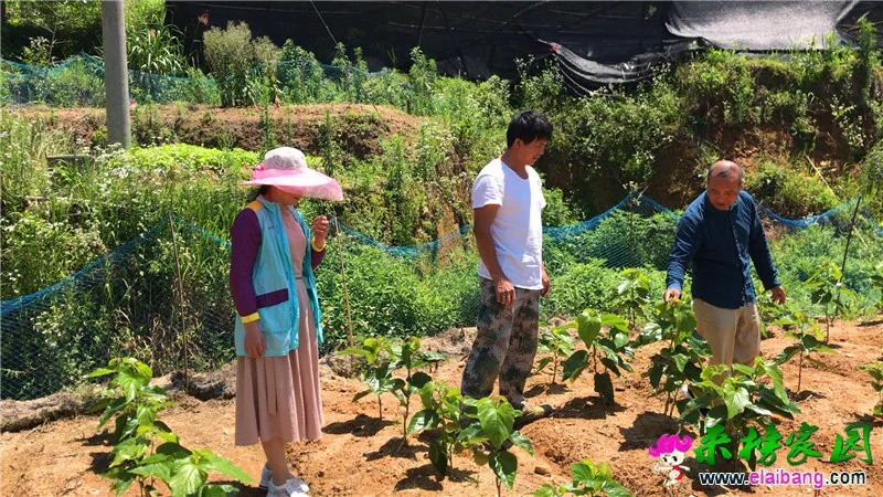微信图片_20190624200817.webp