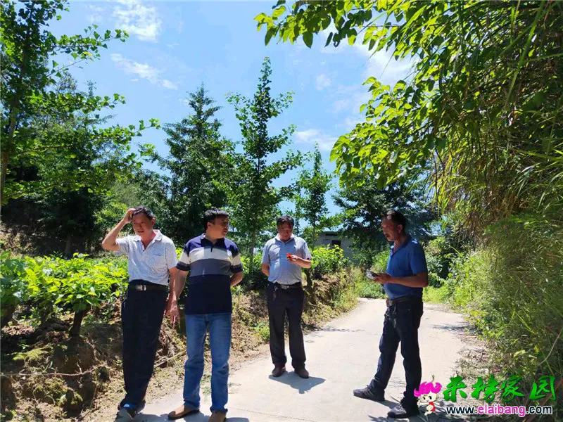 微信图片_20190624200823.webp