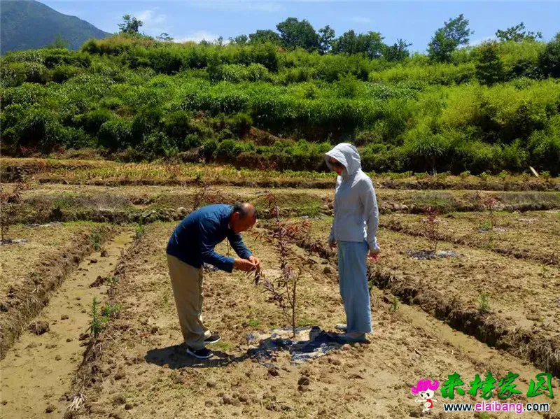 微信图片_20190624200820.webp