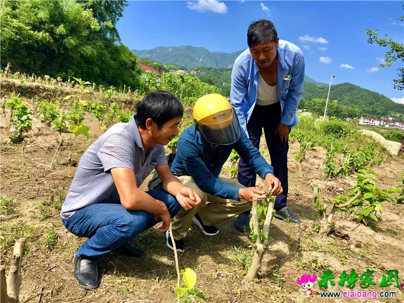 微信图片_20190624200825.webp