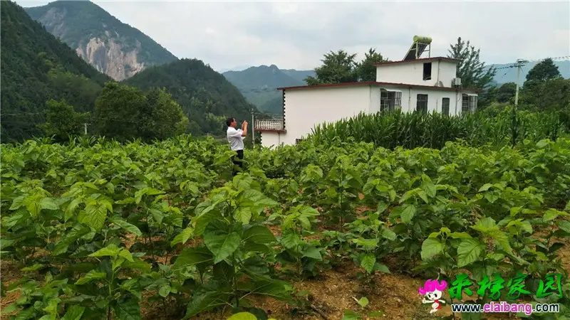 微信图片_20190625200707.webp