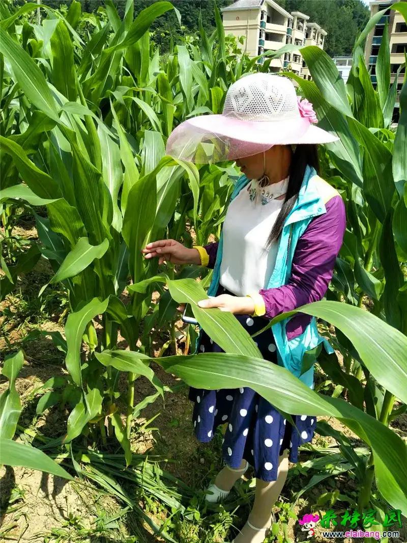 微信图片_20190625200717.webp